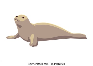 a seal fish on a white background vector illustration design