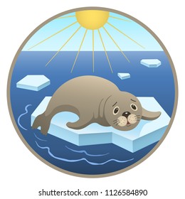 seal and global warming flat illustration