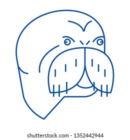 Seal head line icon concept. Seal head flat  vector symbol, sign, outline illustration.