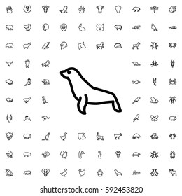 seal icon illustration. Animals icons vector set.
