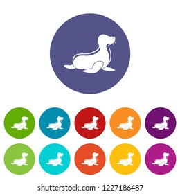 Seal icons color set vector for any web design on white background