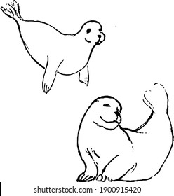 Seal ink illustrations. Underwater fish sketches collection. Nature wildlife animals drawings set. Simple minimal texture vector artworks collection. 