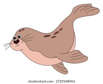 Seal isolated on white background