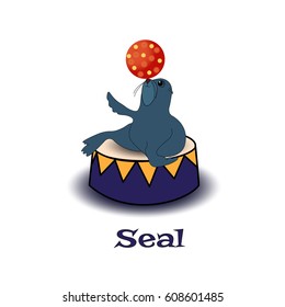 A seal juggles a ball. Vector illustration on a white background .