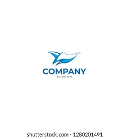 seal lion or sea lion logo template