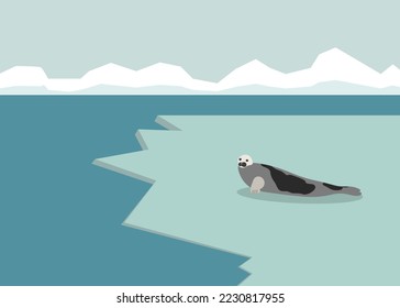 A seal is lying on the ice in Antarctica in the background are mountains. Isolated vector graphic.
