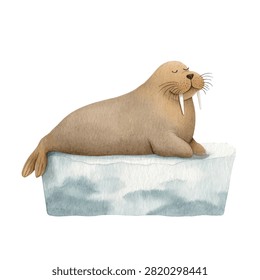 Seal lying on ice block relaxing