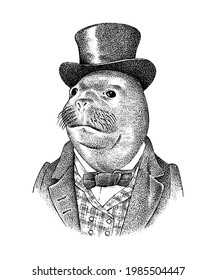 Seal man in hat and suit. Marine mammal. Victorian gentleman or aristocrat. Fashion animal character. Hand drawn sketch. Engraved illustration for and T-shirts or tattoo