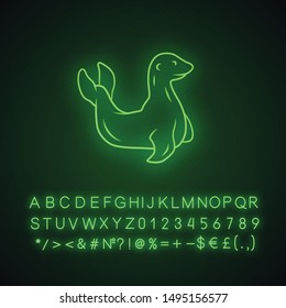 Seal neon light icon. Pinniped mammal. Antarctic sea lion. Oceanography and zoology. Aquatic ocean animal with flippers. Glowing sign with alphabet, numbers and symbols. Vector isolated illustration