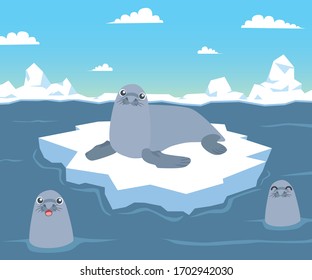 Seal on the floe, surrounded by sea water and other seals