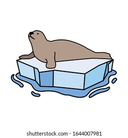 seal on an ice floe drifting illustration design