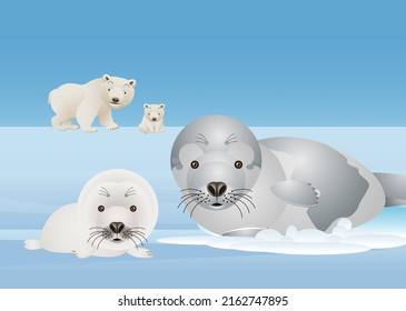 A seal parent and cub and a polar bear parent and cub.vector illustration