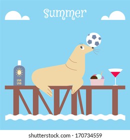 Seal Playing Soccer on the Dock in Summer