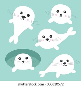 Seal pup baby harp set. Ice-hole Cute cartoon character. Blue background. Flat design Vector illustration