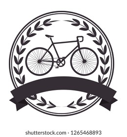 seal with racing bicycle