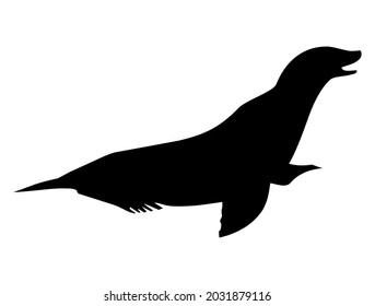 Seal, sea animal, mammal, predator, wildlife, vector, illustration in black and white color, isolated on white background