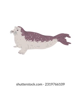Seal or sea calf mammal marine animal character, flat vector illustration isolated on white background. Seal or sea dog calf marine mammal laying alone.