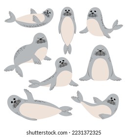 Seal. Set of animals. Illustration on a white background.	