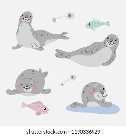 seal set cute