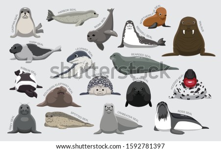 Seal Set Various Kind Identify Cartoon Vector