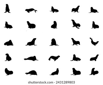 Seal silhouette vector art white background