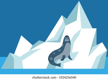 Seal sits on ice floe and relax. Wild animal resting on glacier in antarctica vector illustration. Mammal living in arctic. Seal lies sideways on iceberg. Northern animal spends time in habitat