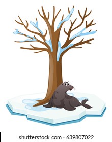 Seal sitting under the tree illustration