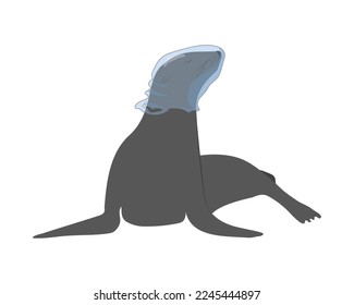 Seal suffering of being stuck in plastic garbage floating in the water. Reusable and recyclable packaging necessity awareness