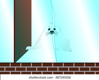 Seal trying to escape from the zoo through broken glass