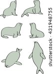 Seal Vector