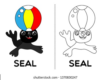 seal, vector animal cartoon, coloring book or page