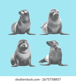 Sello, Vector de sello, ilustración de sello, dibujo de línea sobre fondo azul claro.