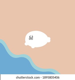 A seal walking along the beach