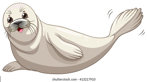 Seal with white skin smiling illustration