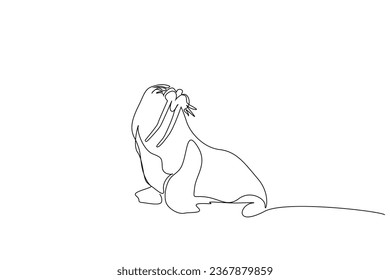seal wildlife life line art design
