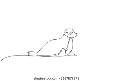 seal wildlife life line art design