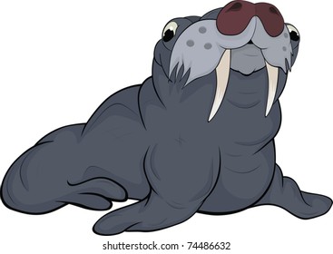 Seal.Cartoon