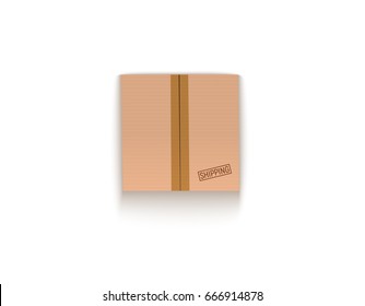 Sealed cardboard box isolated on white vector illustration