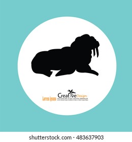 sealion icon.vector illustration.