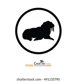 sealion icon.vector illustration.