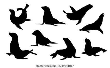 sealion silhouettes on the white background