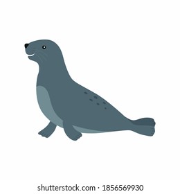 Sealion. Vector illustration isolated on white background.