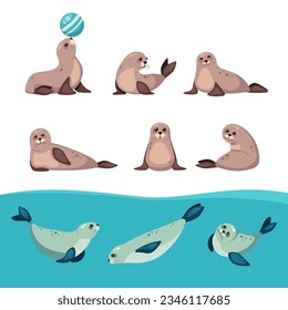 seals animal set. north antarctica animals, cute funny cartoon characters, seals lying in different poses on the seabank. vector ocean flat characters