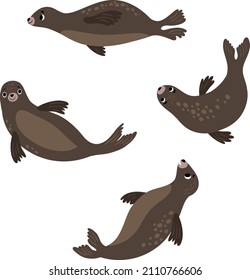 Seals. Animals of the North. different poses 