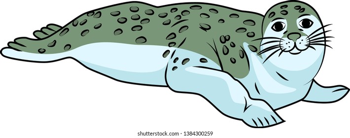 Seals are the common name of two families of mammals, a polyphyletic group, previously attributed together with the walrus to a separate group of pinnipeds.