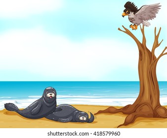 Seals and eagle at sea illustration