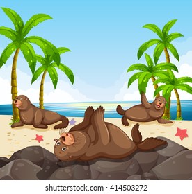 Seals having fun on the beach illustration