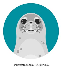 Seals Head