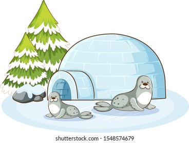 Seals and igloo in winter illustration