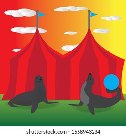 Seals over a big top background - Vector illustration